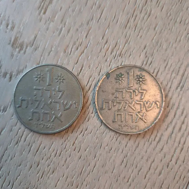 [BUNJANG] Israel 10 Lira Coins (2)  / 이스라엘 10 리라 동전 2개