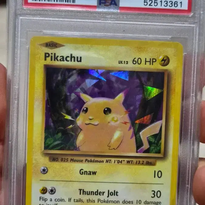 [BUNJANG] 2016 North America 20th Anniversary Charizard, Pikachu, Gyarados Holo PSA 9 / 2016  북미  20주년 리자몽 피카츄 캬라도스 홀로 psa9