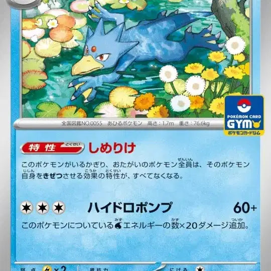 [BUNJANG] Pokemon Card Game Japan Scarlet &amp; Violet Series 10th Expansion Gym Promo Pack Bundle Set / 포켓몬카드 일본판 짐프로모팩 스칼렛&amp;바이올렛 제10탄 10개 일괄