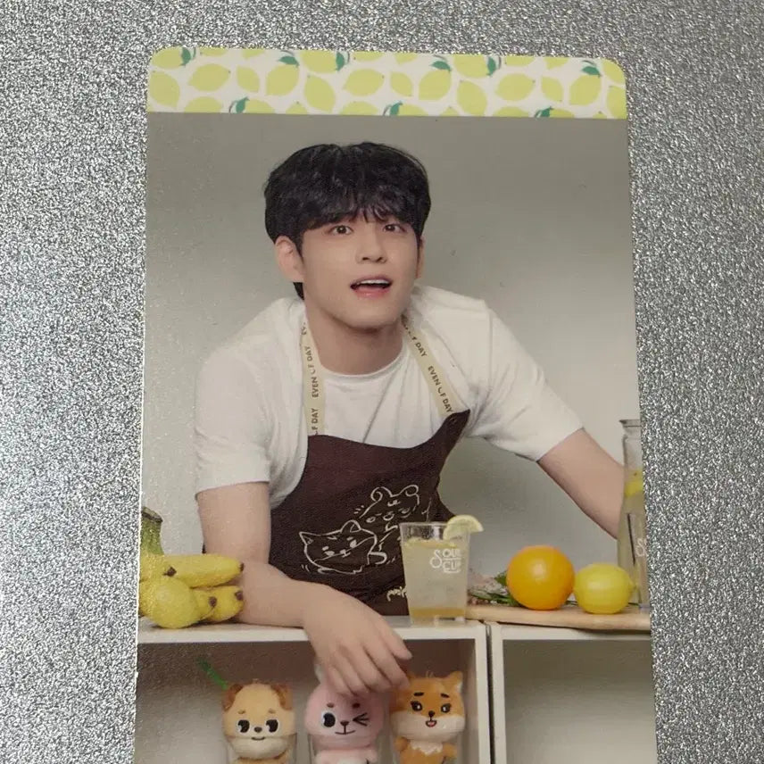 [BUNJANG] DAY6 Wonpil Photocard / 원필 포카