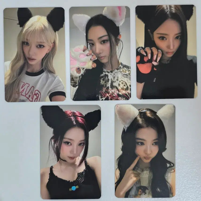 [BUNJANG] Miyaho Music Plant Fan Signing Photocard / 미야오 뮤직플랜트 팬사인회 포토카드