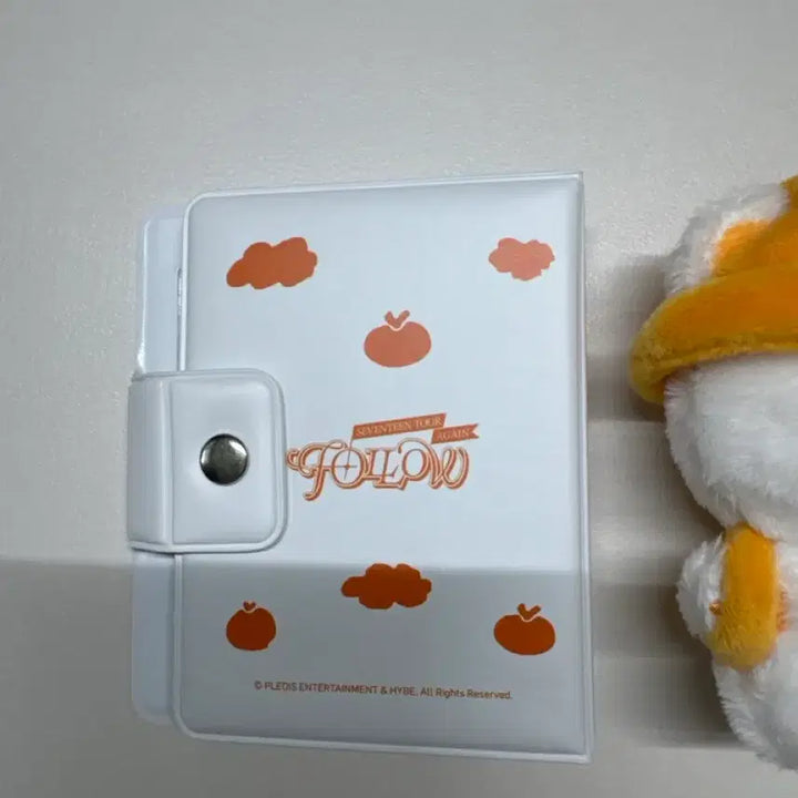 [BUNJANG] SEVENTEEN Follow Seungkwan Photocard Holder &amp; Boo Bear Doll / 세븐틴 follow 승관 포카홀더, 승관부베어인형