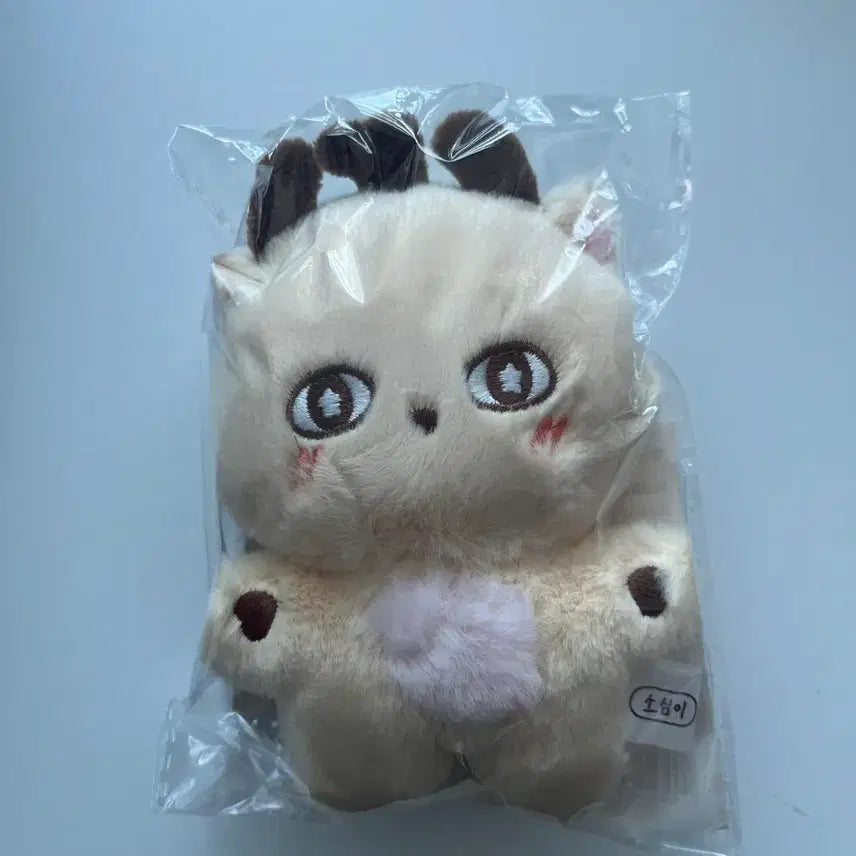 [BUNJANG] Park Jihoon Ssohimi Doll (Sealed) / 급처) 네고 가능 박지훈 소심이 미개봉 양도