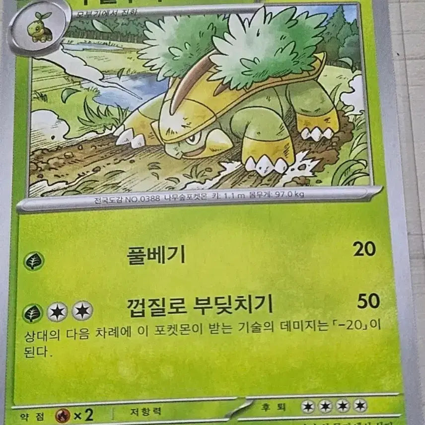 [BUNJANG] Pokemon Cards: Phantump &amp; Trevenant Set / [최저가] 포켓몬카드 수풀부기, 토대부기 세트