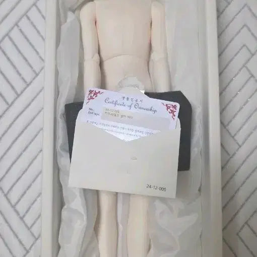 [BUNJANG] LUTS Kid45 Delf Boy Body - White Skin / 루츠돌 키드45 델프 남아 바디 미백