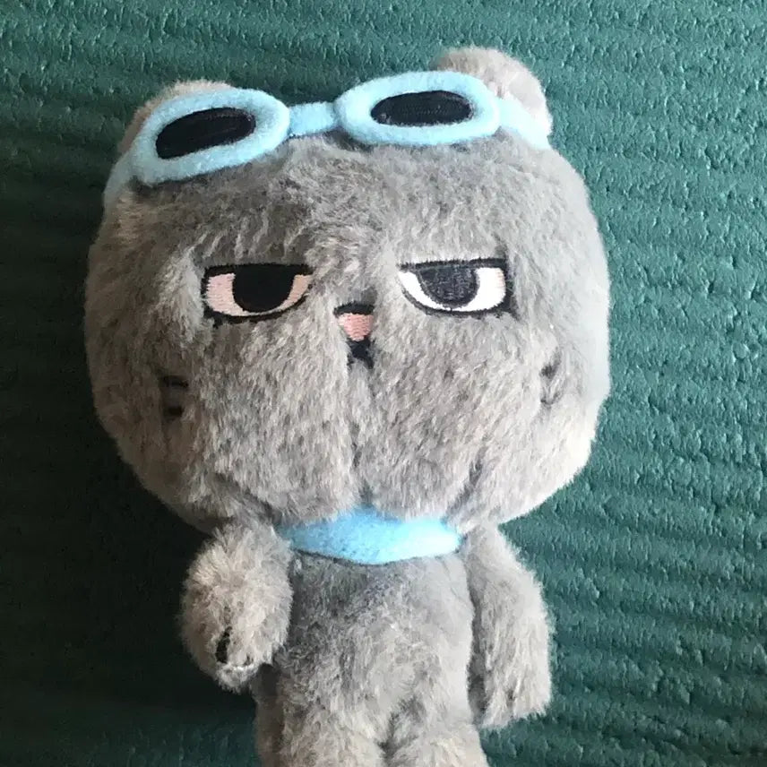 [BUNJANG] Taetpungie Stuffed Doll / 탯풍이 인형