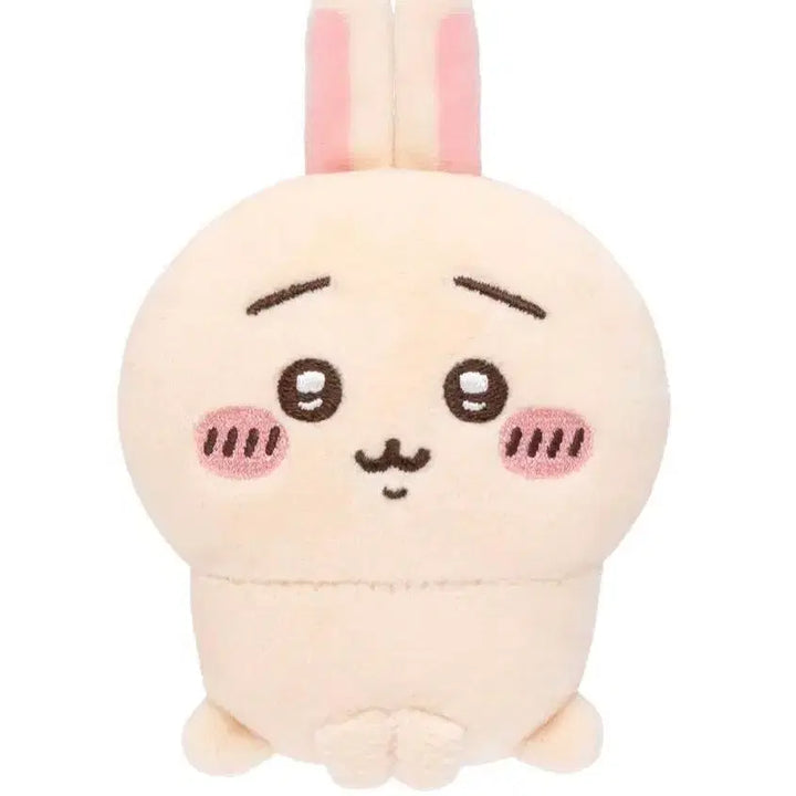 [BUNJANG] Chiikawa Lottery E Prize Set / (가격인하) [치이카와] 투성이 쿠지 e상 세트