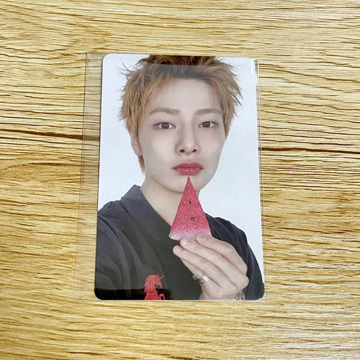 [BUNJANG] Stray Kids I.N. DISORDER Fanclub POB Photocard / 스키즈 디스앤댓 아이엔 팬즈샵 미공포+팝업 홀더
