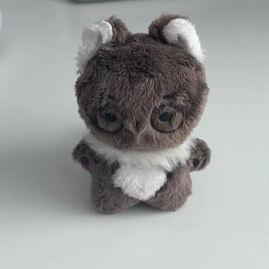 [BUNJANG] Garbage Time Jeon Young-joong "Neoguri" Plush / 판매중 가비지타임 전영중 너구리 인형