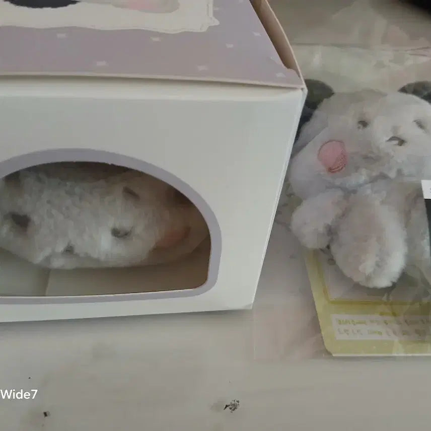 [SOLD OUT] [BUNJANG] XDINARY HEROES Bundle Set Plush Doll / 일괄)엑디너리 몬스터즈 봉제인형 팝니다