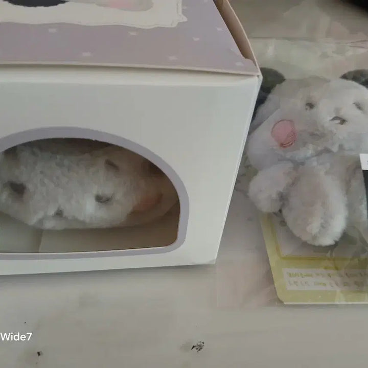 [SOLD OUT] [BUNJANG] XDINARY HEROES Bundle Set Plush Doll / 일괄)엑디너리 몬스터즈 봉제인형 팝니다