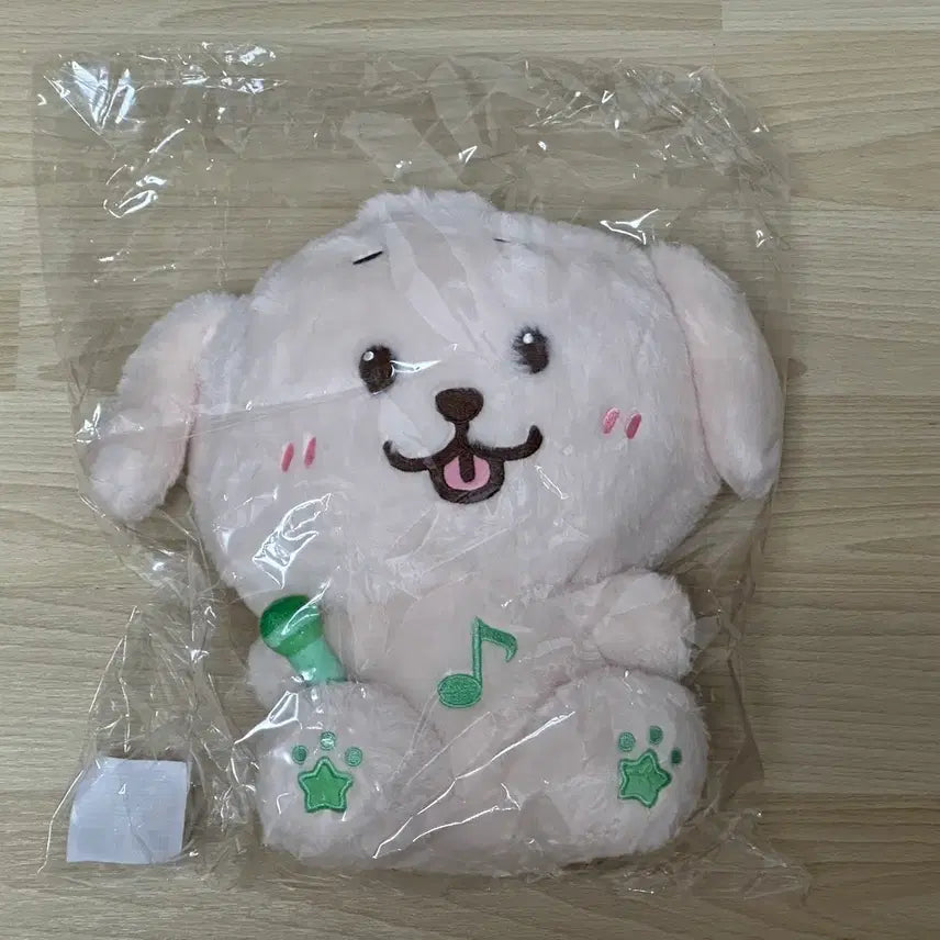 [BUNJANG] NCT Dream Jaehee 30cm Wish Doll Bundle Set / 30cm 위시돌 댕트리버 미개봉 엔시티 위시 재희