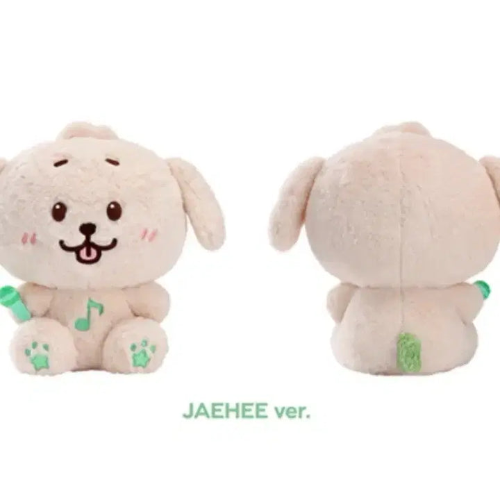 [BUNJANG] NCT Dream Jaehee 30cm Wish Doll Bundle Set / 30cm 위시돌 댕트리버 미개봉 엔시티 위시 재희