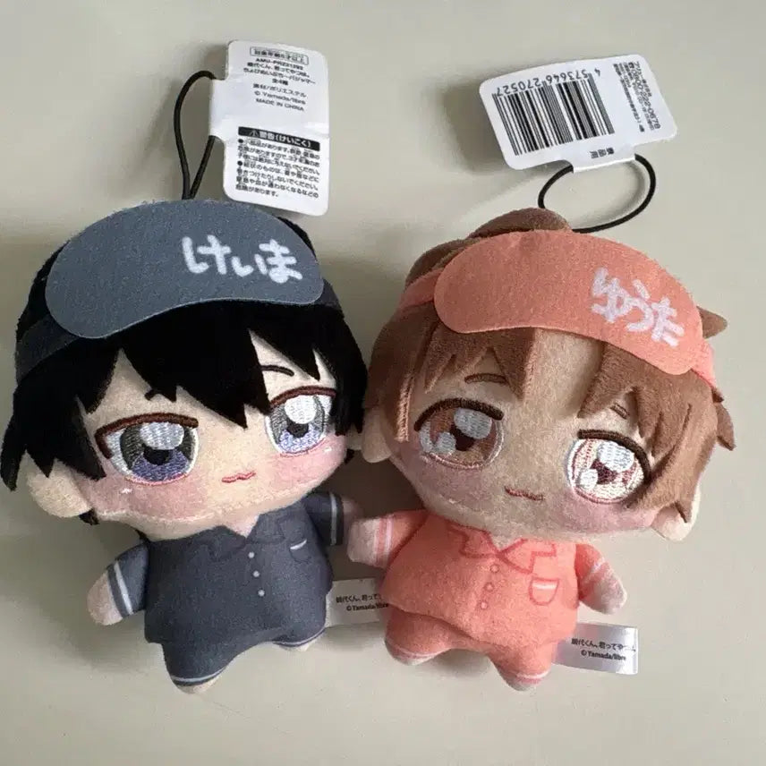 [BUNJANG] Tashiro Ebby Doll Bundle Set / 타시로 너란 녀석은 타시로 에비 인형 일괄 양도