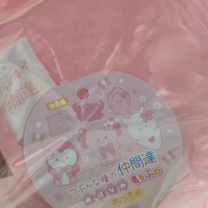 [BUNJANG] Tsuburana Hitomi Cherry Blossom Penguin Plush / [새상품]츠부라나 히토미 벚꽃 펭귄 인형