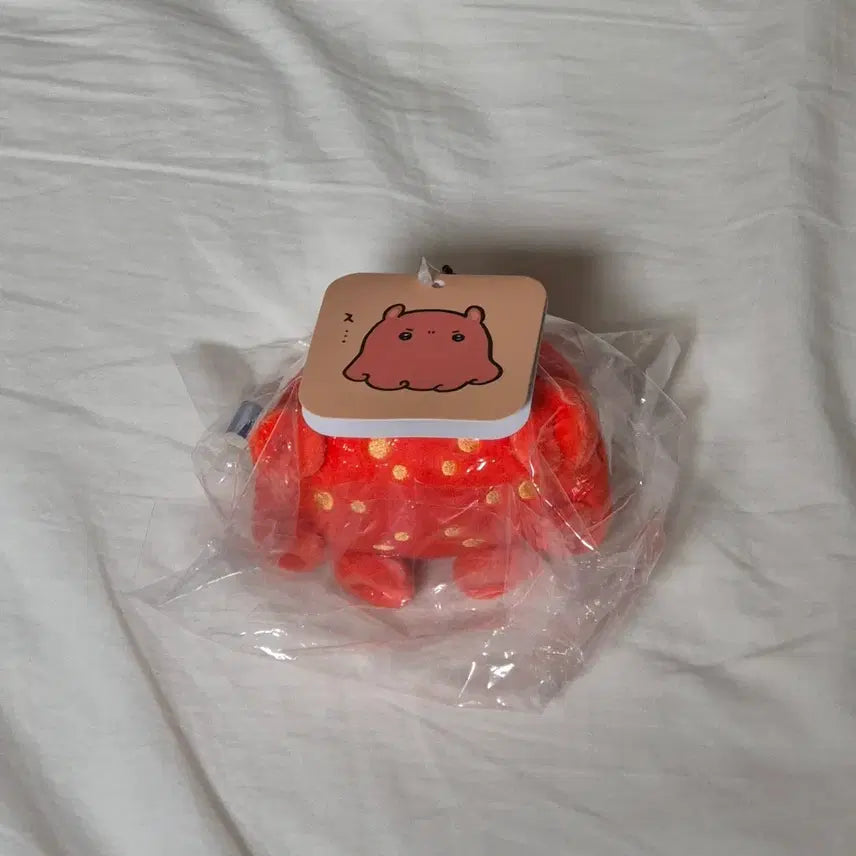 [BUNJANG] Nongdamgom Aquarium Mascot New / 농담곰 수족관 마스코트 새상품