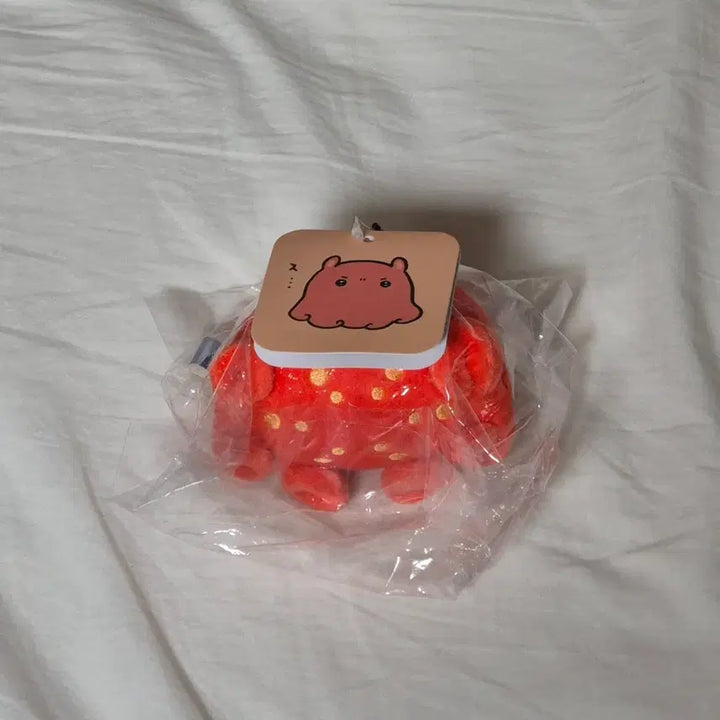 [BUNJANG] Nongdamgom Aquarium Mascot New / 농담곰 수족관 마스코트 새상품