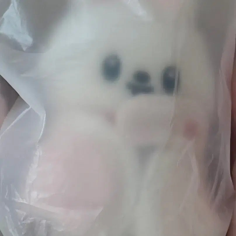 [BUNJANG] Stray Kids Leebit 10cm Plush Doll / 스트레이키즈 스키주 플러시 10 cm  리빗 리노 스키즈 팬미팅