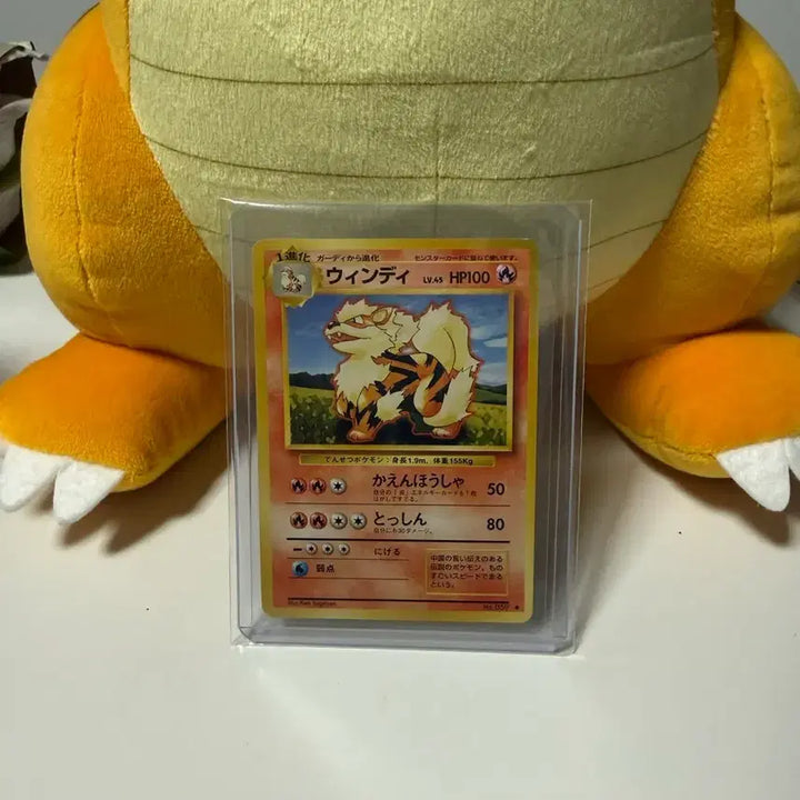 [BUNJANG] Pokemon Card Vindi 1st Edition (Old Back) / 포켓몬카드 윈디 초판(올드백)