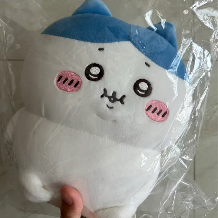 [BUNJANG] Chiikawa Hachiware Fluffy Palm Plush / (새상품) 치이카와 하치와레 포동포동 손바닥 인형