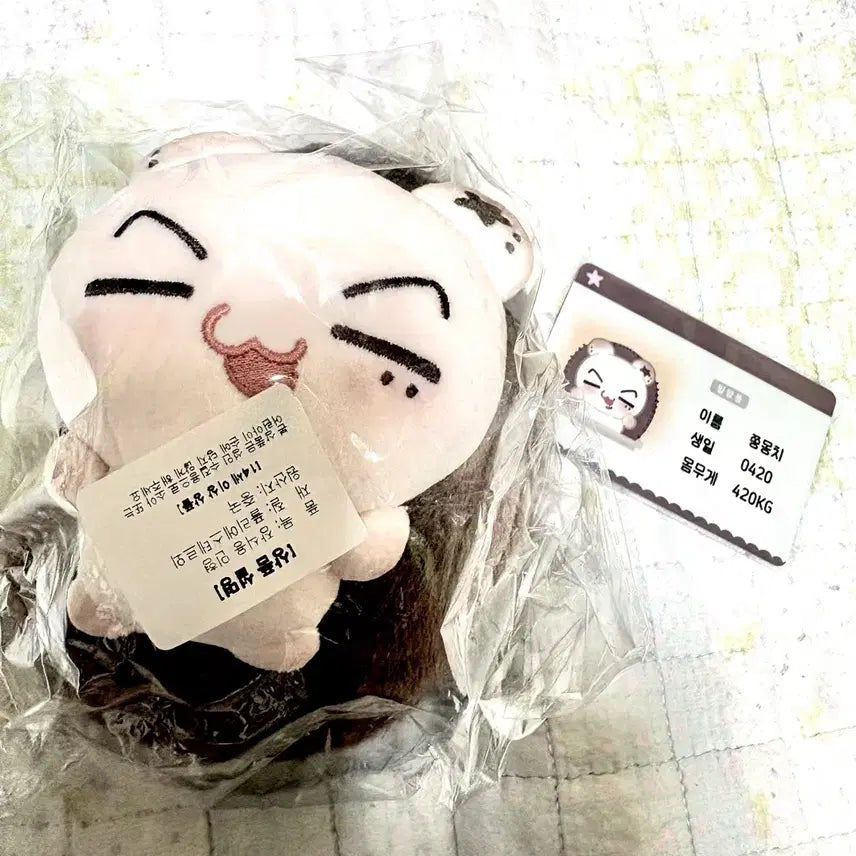 [BUNJANG] Enhypen Jay Park Jongseong Jjongmongchi Doll (Sealed) / 미개봉,덤많이)엔하이픈 제이 박종성 쫑몽치 인형 양도판매 정원성훈재윤선우니키