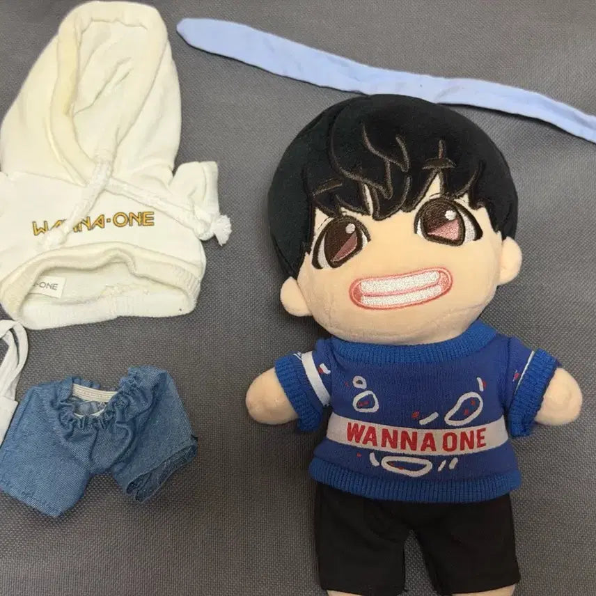 [BUNJANG] Wanna One Park Ji Hoon Doll Full Set / 워너원 박지훈 인형