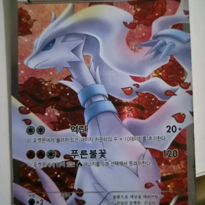 [BUNJANG] Pokemon Card Reshiram SR Shiny Collection (Korean) / 급처) 포켓몬카드 레시라무 SR 샤이니 컬렉션(한글)