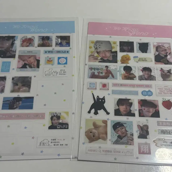 [BUNJANG] ENHYPEN Nicholas DMB Sticker Bundle Set / 앤팀 니콜라스 돔보스티커 일괄