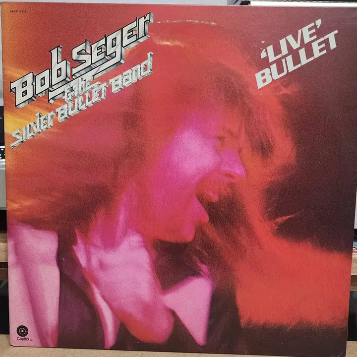 [BUNJANG] Bob Seger Double LP US Pressing / Bob Seger 더블 LP 미국원반