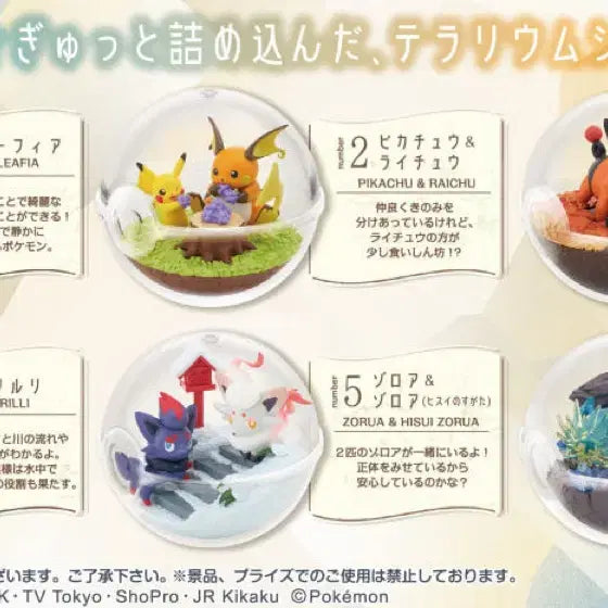 [BUNJANG] Pokemon Marill Terrarium Figure / 포켓몬스터 마릴 테라리움