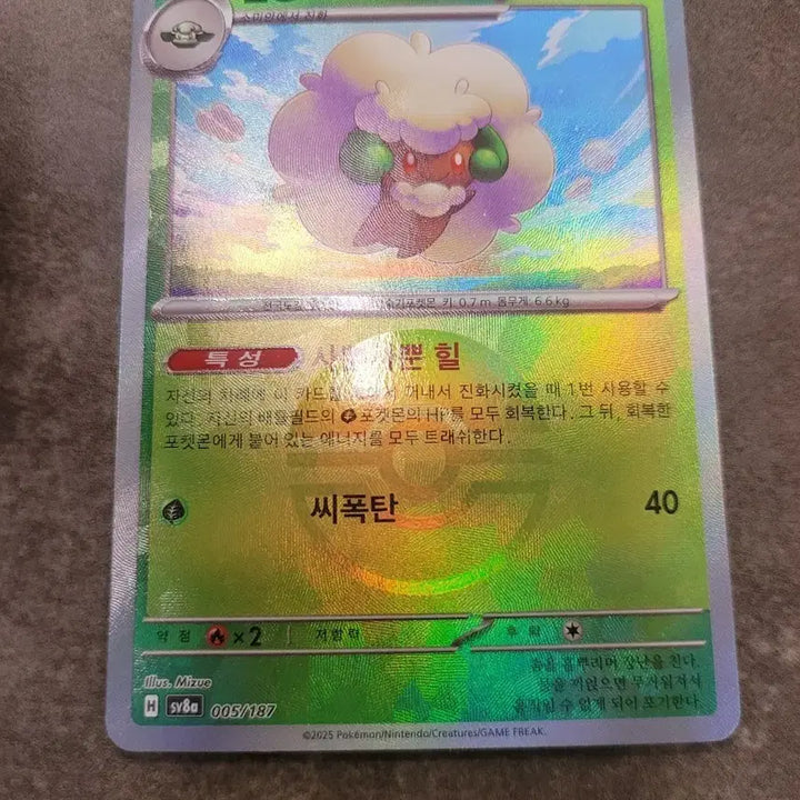 [BUNJANG] Pokemon Card "Sea Bomb" (Explosion Seed), 100 HP, 005/187 / 포켓몬카드 엘풍 몬스터볼 씨폭탄 100HP 005/187