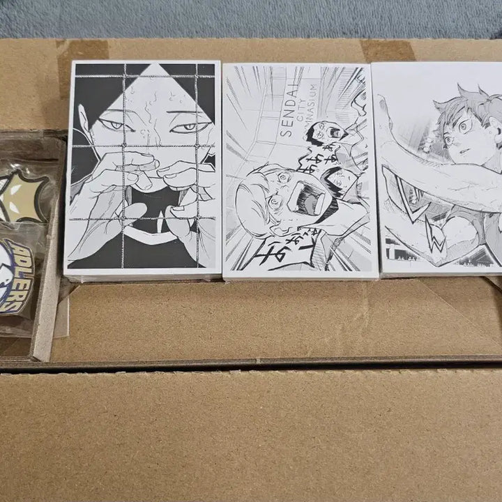 [BUNJANG] Haikyuu!! 10th Anniversary Chronicle Goods (Domgaeng Edition) - Sealed / 하이큐 10주년 크로니클 굿즈 미개봉