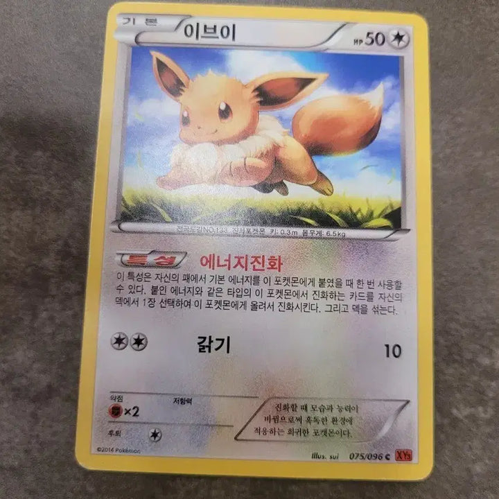 [BUNJANG] Pokemon Card Eevee XY3 075/096 / 포켓몬 카드 이브이 xy3 075/096
