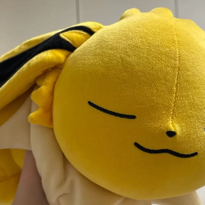 [BUNJANG] Pokemon Center Sleeping Jolteon Plush / 포켓몬스터 스야스야 쥬피썬더 인형