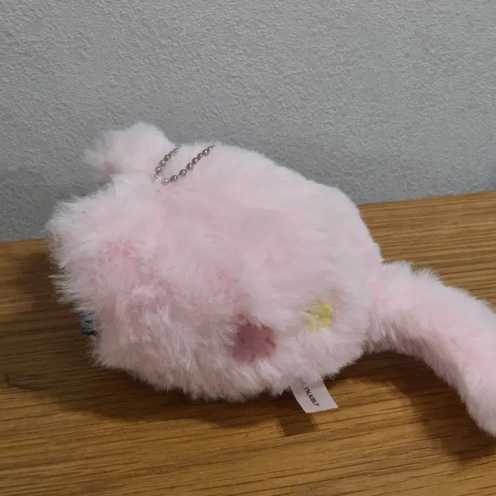 [BUNJANG] Blue Lock Isagi Yoichi Nyanko Plush / 블루록 이사기 오하루냥코 인형