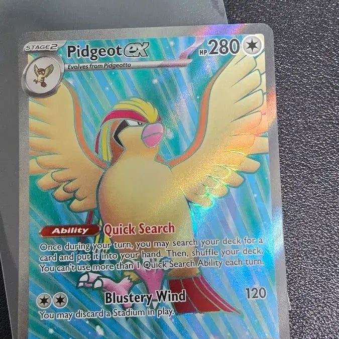 [BUNJANG] Pokemon Card North America Pidgeot EX SR / 포켓몬 카드 북미 피죤투 EX sr