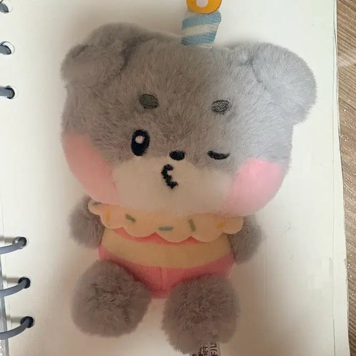 [BUNJANG] Goonini Photocard / 거니니 팔아요