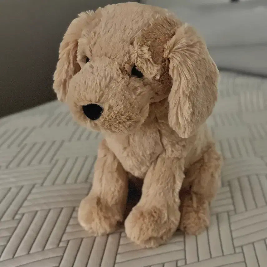 [BUNJANG] Jellycat Tilly Golden Retriever Plush Toy / jellycat 틸리 골든 리트리버 젤리캣 정품