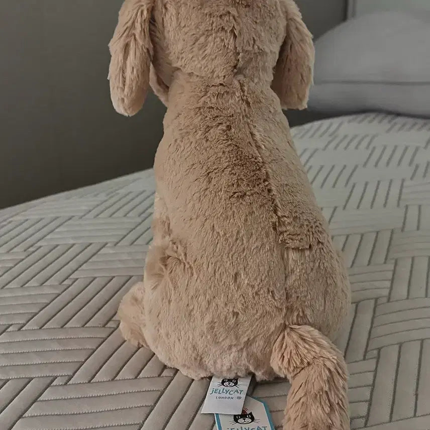 [BUNJANG] Jellycat Tilly Golden Retriever Plush Toy / jellycat 틸리 골든 리트리버 젤리캣 정품
