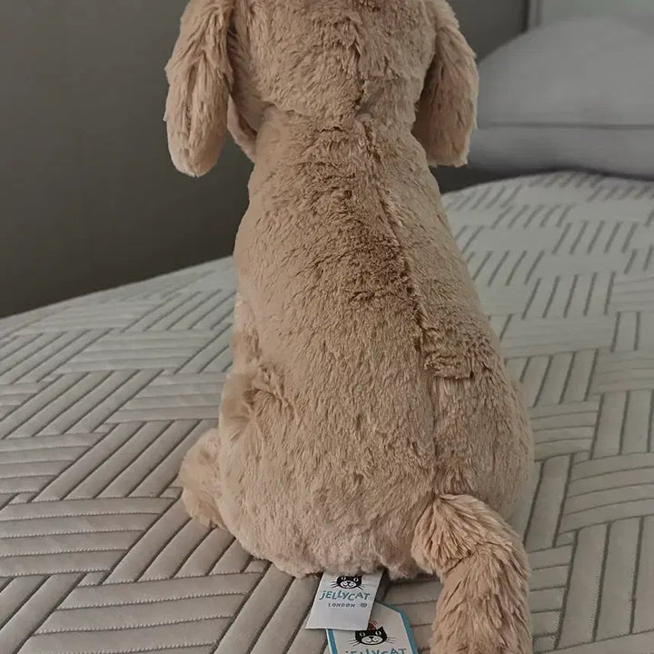 [BUNJANG] Jellycat Tilly Golden Retriever Plush Toy / jellycat 틸리 골든 리트리버 젤리캣 정품