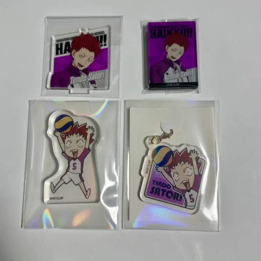 [BUNJANG] Haikyu!! Tendo Acrylic Stand, Keychain, Magnet Bundle Set / 다이소 하이큐 텐도 일괄