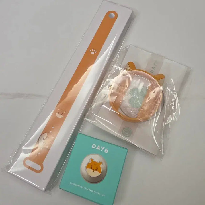 [BUNJANG] Day6 Made Watch Custom Set Acrylic Case / 데이식스 마데워치 커스텀 쁘멀 케 양도