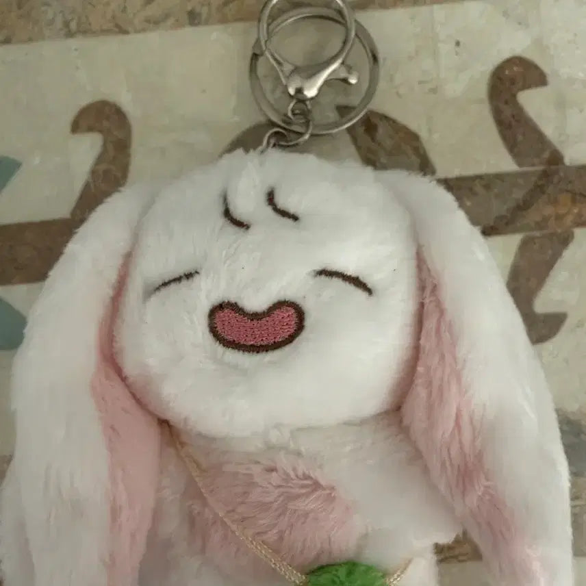 [BUNJANG] Park Bo-young Plushie Charm / 급전 선착순 안전결제) 박보영 인형 키링 뽀유