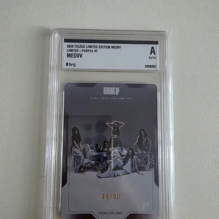 [BUNJANG] Miyyao Tereka Limited Edition Photocard (Numbered 39/50) / 미야오 테레카 리미티드 50한정 카드
