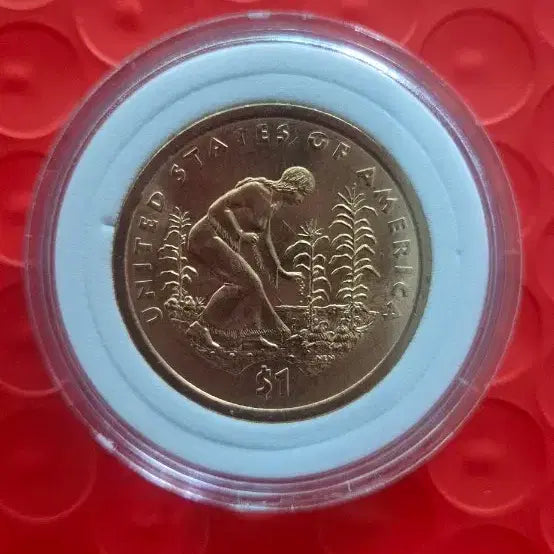 [BUNJANG] Sakakawea Liberty Dollar / 사카가위아 1달러