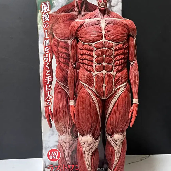 [BUNJANG] Attack on Titan Last One Prize Extra Large Titan Figure / 진격의거인 제일복권 라스트원 초대형거인 피규어