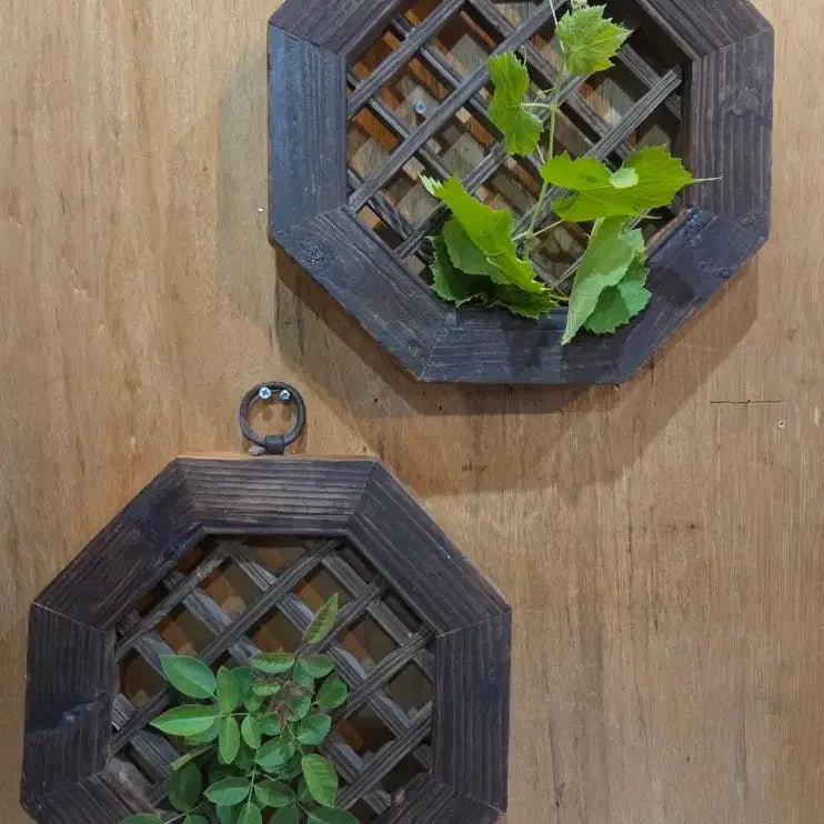 [BUNJANG] Pair of Octagonal Lattice Doors / 전통 문짝  / 팔각 격자 문짝 2점
