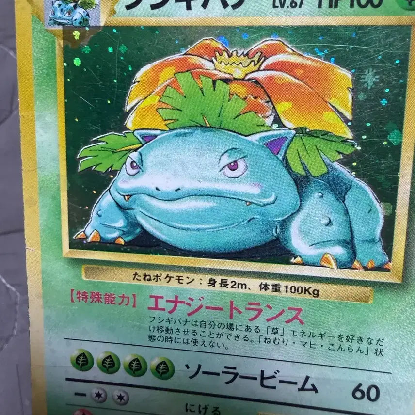 [BUNJANG] Japanese Edition Base Set Venusaur / 일본판 포켓몬카드 초판 이상해꽃