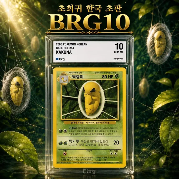[BUNJANG] Limited Edition BRG10 POP2 "Ttakchung-i" Photocard / [ 초판 BRG10 POP2 ] 딱충이