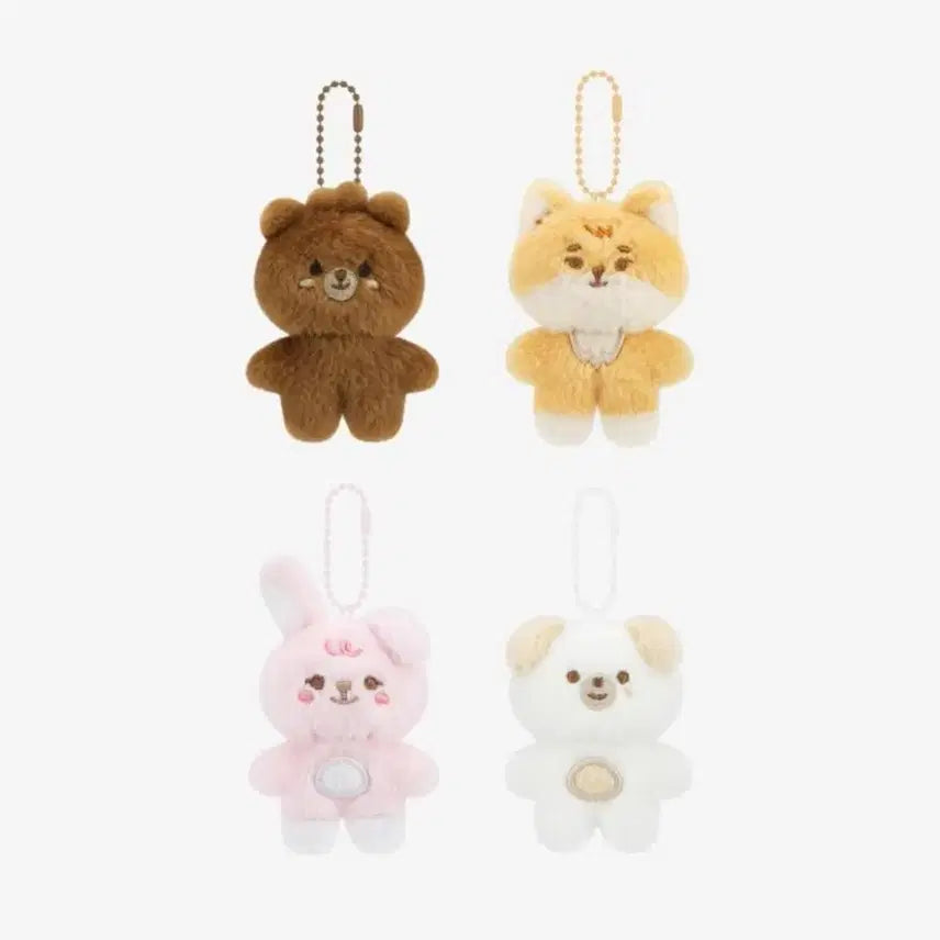 [BUNJANG] PBBPML Bangkepidon Bundle Set / 쁘쁘멀 방케필돈 일괄 판매합니다